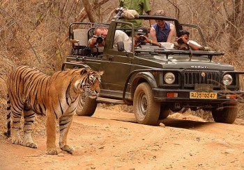 Golden Triangle with Ranthambore