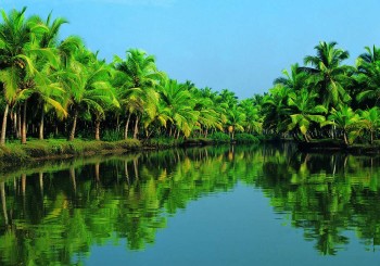 God’s Own Kerala